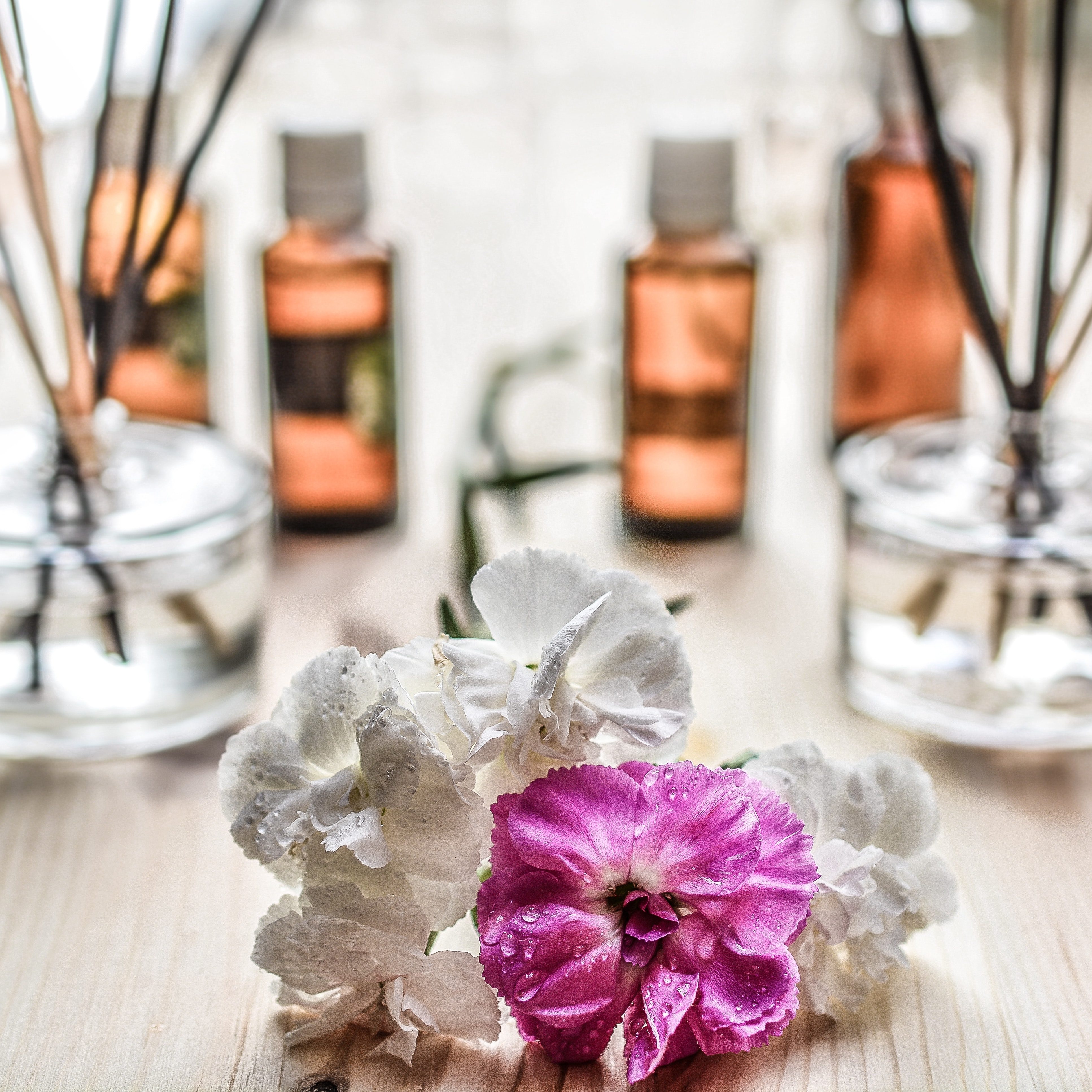 alternative-aroma-aromatherapy-161599 alternative-aroma-aromatherapy-161599